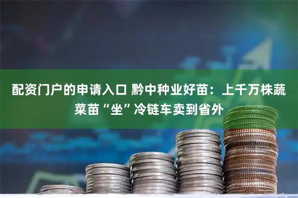 配资门户的申请入口 黔中种业好苗：上千万株蔬菜苗“坐”冷链车卖到省外